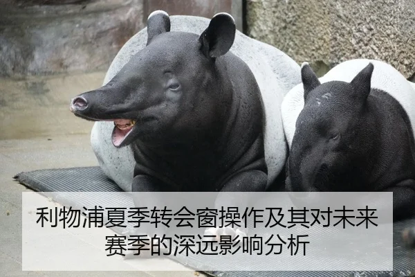利物浦夏季转会窗操作及其对未来赛季的深远影响分析